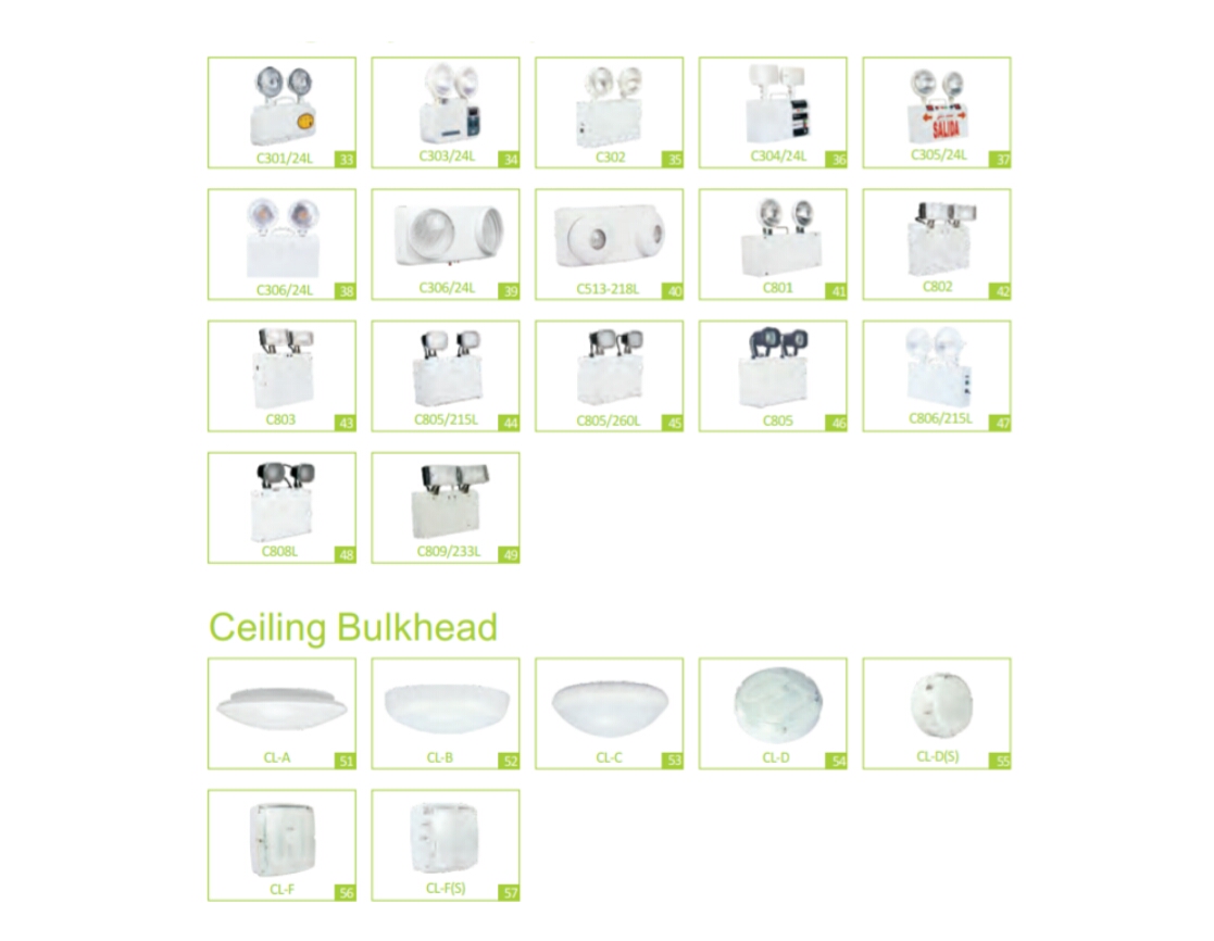 Emergency Twin Spots And Ceiling Bulkhead