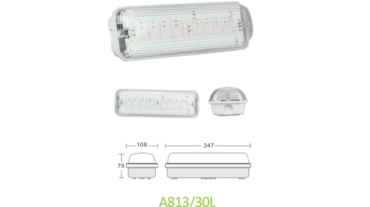 LED Emergency Bulkhead A813/30L SMD3528 LEDs Version
