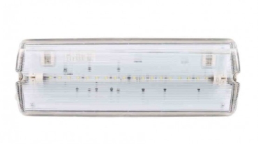 Emergency Luminaire EEW 115P-LED-T5