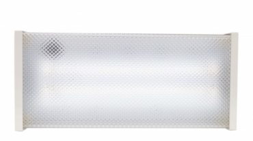 Emergency Luminaire EEP 28